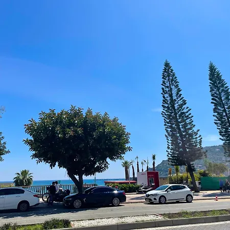 Apartamento Sa Apartments! Cleopatra Beachfront 2bd *